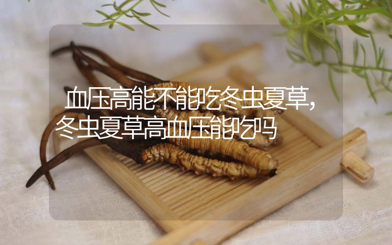 血壓高能不能吃冬蟲夏草，冬蟲夏草高血壓能吃嗎？