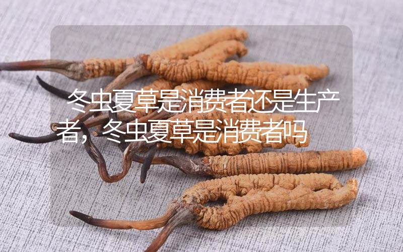 貧血吃冬蟲夏草有效果嗎，貧血虛弱者可以用冬蟲夏草嗎？