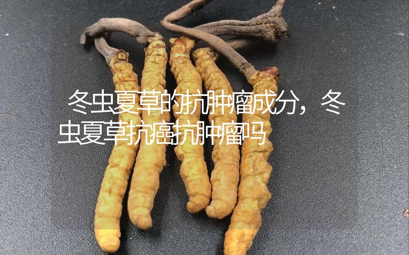 冬蟲夏草的抗腫瘤成分，冬蟲夏草抗癌抗腫瘤嗎？