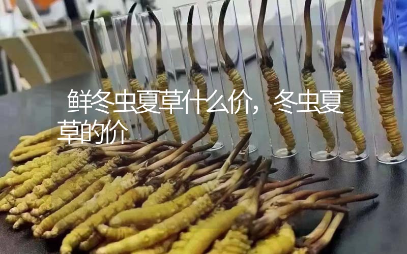 鮮冬蟲(chóng)夏草什么價(jià)，冬蟲(chóng)夏草的價(jià)格