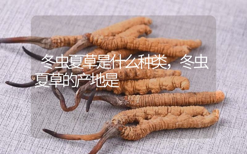 冬蟲夏草是什么種類，冬蟲夏草的產地是