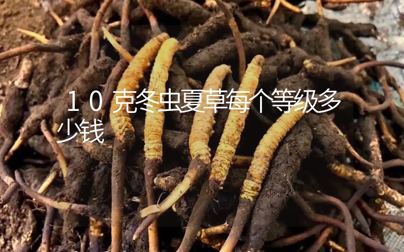10克冬蟲夏草每個等級多少錢？