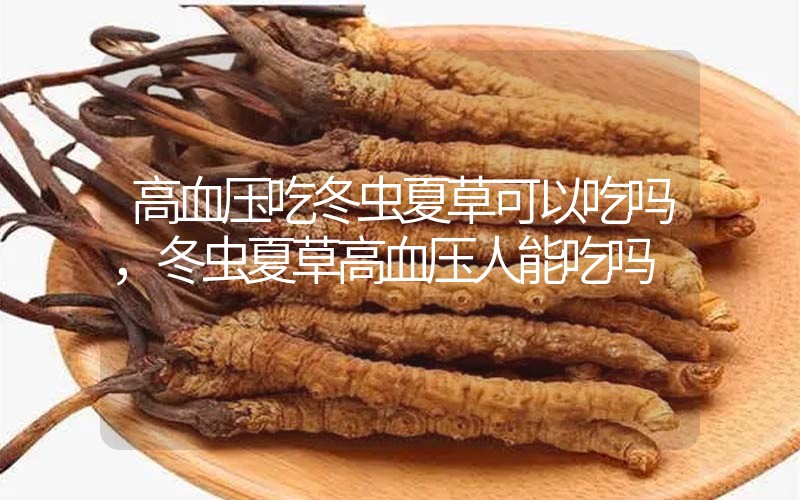 高血壓吃冬蟲夏草可以吃嗎？冬蟲夏草高血壓人能吃嗎？
