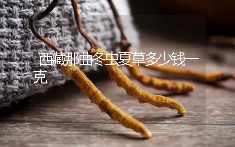西藏那曲冬蟲夏草多少錢一克？