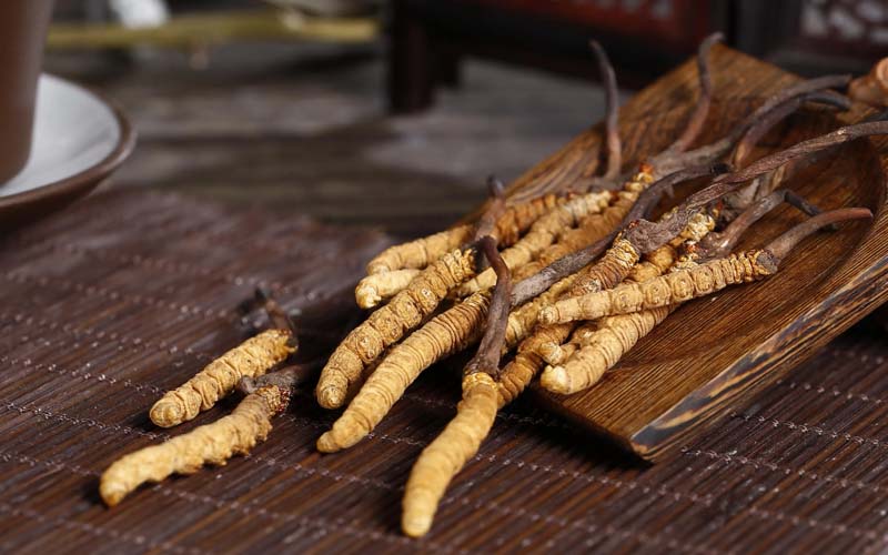 正宗野生蟲(chóng)草多少錢(qián)一斤(冬蟲(chóng)夏草一般多少錢(qián)一斤/克/根)