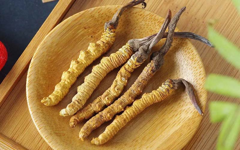 冬蟲夏草作用可以調(diào)節(jié)身體肝臟功能嗎？