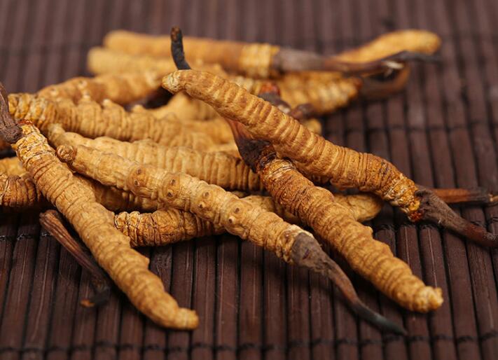 什么樣的冬蟲夏草算是優(yōu)質(zhì)的？