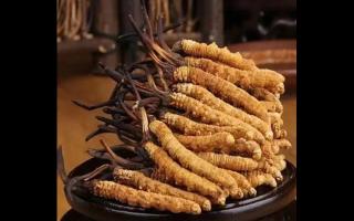 為什么藏民手里的蟲草比網(wǎng)上貴？
