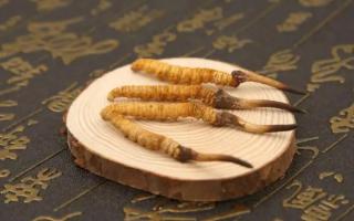 冬蟲夏草有保質(zhì)期嗎？