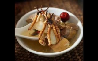 冬蟲(chóng)夏草鴿子湯怎么做？