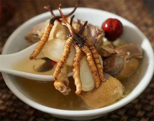 冬蟲夏草可以燉海鯽魚嗎？