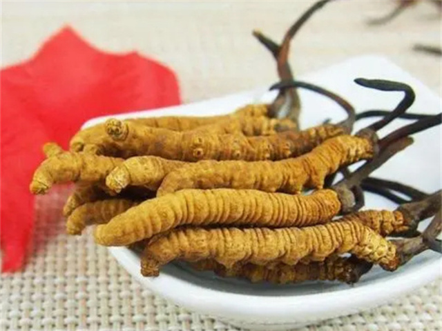 產(chǎn)后冬蟲夏草怎么吃？產(chǎn)后冬蟲夏草的3種食用方法