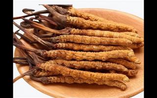 冬蟲(chóng)夏草和蛹蟲(chóng)草有哪些地方不一樣？冬蟲(chóng)夏草和蛹蟲(chóng)草6個(gè)方面的區(qū)別