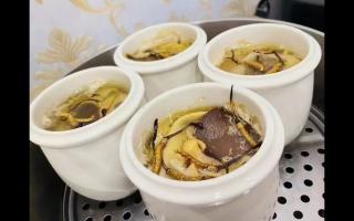 冬蟲夏草燉什么最好？5種黃金搭配讓滋補效果翻倍