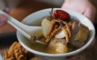 冬蟲(chóng)夏草搭配有道，滋養(yǎng)肺部效果妙