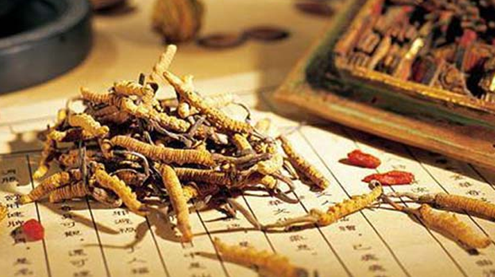 同仁堂健康冬蟲夏草：傳承品質(zhì)，饋贈健康