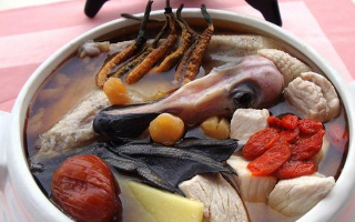 冬蟲夏草配什么煲湯好？營養(yǎng)美味的搭配指南