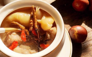 冬蟲夏草與什么泡水喝？養(yǎng)生搭配指南