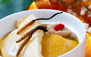 冬蟲夏草每天什么時(shí)候吃最好？一文詳解最佳食用時(shí)間