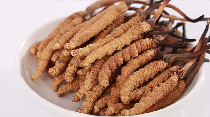 冬蟲夏草燉水鴨，搭配這些食材更滋補(bǔ)