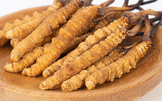 冬蟲夏草，真有那么大效果？