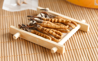 冬蟲夏草可以干燥存放嗎？科學(xué)儲(chǔ)存方法與注意事項(xiàng)