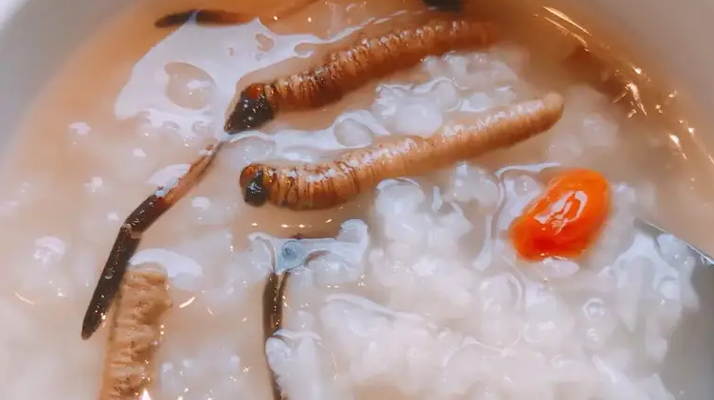 冬蟲夏草適合哪些人群？精準(zhǔn)匹配與禁忌提醒