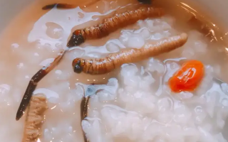 冬蟲(chóng)夏草適合哪些人群？精準(zhǔn)匹配與禁忌提醒