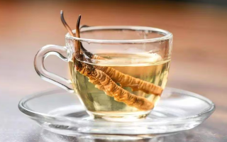 一瓶酒泡多少冬蟲(chóng)夏草？科學(xué)搭配有講究