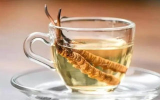 十根冬蟲夏草泡多少酒？科學配比與實操指南