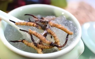 十根冬蟲夏草能泡幾斤酒？泡酒比例與細節(jié)指南