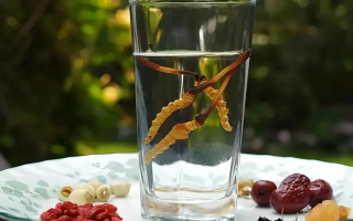 人參配蟲(chóng)草泡酒，泡多久才好喝？咱跟你說(shuō)實(shí)在的